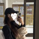 태을초교 | 반려견 밍키와 함께한 가을 수리산 등산, 태을초~관모봉 코스 후기