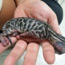 김대진동물병원 이미지