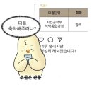 한국체육대학교 대학원 | 한국체육대학교 특수대학원 스포츠재활전공 2025 전기 대학원 지원 과정