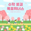 청호초등학교 | 목포 하당 초등수학] 수학 익힘책이 어려운 이유와 해결 방법, 선행 없이 따라가요