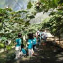 석호농장 이미지