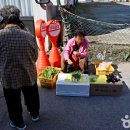 유성장 이미지