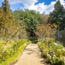 보행자전용도로 3-47 이미지