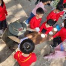 금성초병설유치원 이미지