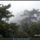 마나상사
