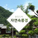 자연풍경민박 네이버블로그