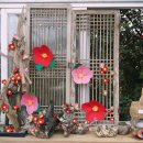 아리랜드 이미지