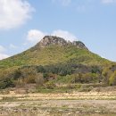 황새울길 이미지