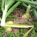 혁이농장 이미지