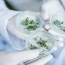 엔바이오 이미지