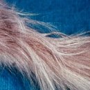 위너스동물병원 이미지