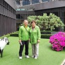 금 비