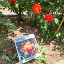 신서중앙공원 이미지