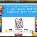 메이플커스텀