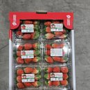 우리들엔영농조합법인 이미지