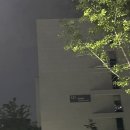 HYNN(박혜원) 전국투어(HYNN FOREST) | 220716 박혜원 전국 투어 HYNN FOREST 콘서트 다녀온 후기