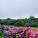 동광리-10 이미지