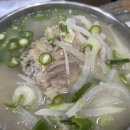 블랭크 애견샵 | 여행 서귀포 맛집 비오는날 접짝뼈국 뼈칼국수 '현정이네' ,반려동물용품샵 '춘식이와 옥희' 내돈내산 후기