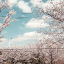 하단동1195 이미지