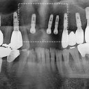 강남미켈란의원 이미지