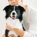 카인드독 이미지