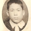 153한우농장 이미지