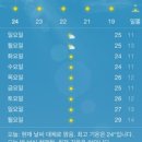 웃기는코끼리