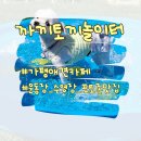 까끼토끼놀이터 | 가평 애견 카페 넓은 운동장과 수영장까지 있는, 까끼토끼놀이터 후기