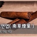 남초연엽(南草煙葉), 이미지