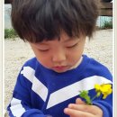 늘푸른 어린이집 이미지