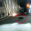 부산도시철도 신평역 이미지