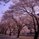 용연사길 이미지