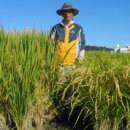 우수사료 이미지