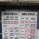 염소왕국 | 아이들과 겨울 왕국! 청양 알프스마을 축제(주말 방문 꿀팁)