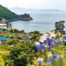 외양포해변 이미지