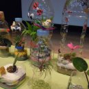 원예복지사 이미지