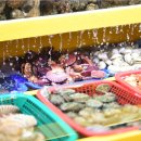 대성수산 이미지