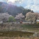 (주)오토가이드 | 횡성 오토캠핑 여름 시즌 — 모두의 캠핑장 계곡물놀이·수영장 힐링 가이드
