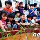 하나3농 이미지