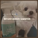 강아지탈취제 추천! 페츠모아 요술탈취제로 배변패드 냄새 제거한 후기