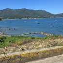 석교리 마을진입로 이미지