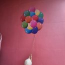 파주 퍼스트가든 5살 아이랑 다녀온 후기 (입장료·동물먹이·놀이기구·주차 총정리)
