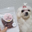 댕댕미식회 이미지