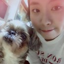 네일도해피 - 영주시 대학로284번길 18-3 | 네일도해피