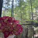 UDA [서귀포시 호근동] <b>UDA</b>ㅣ넓은 공간과 즐길거리가 다양한 카페☕️