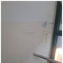 경기도 수원시 영통구 효원로358번길 | 수원누수탐지 우리집 화장실 물 새는 문제 해결한 후기 :)