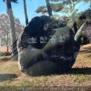 외국기업로 이미지