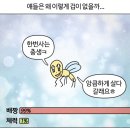 황토방전원주택수지네집 | 25년 5월-9월 기록