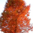 수자원공사입구 이미지