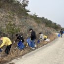 고창군청 이미지